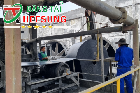 Cấp Băng tải CÁP THÉP, Băng tải CHỊU NHIỆT cho DAP LÀO CAI