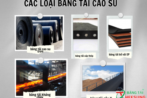 [Tìm Hiểu] CÁC LOẠI Băng Tải Cao Su PHỔ BIẾN Hiện Nay