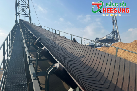 BĂNG TẢI CAO SU LÒNG MÁNG: Ưu điểm & Ứng dụng