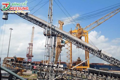Băng Tải Cao Su quận 12: Giải Pháp Vận Chuyển UY TÍN của T&T