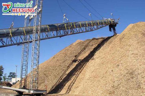 BĂNG TẢI CAO SU ở QUẢNG NINH: Đâu là ĐỊA CHỈ UY TÍN?