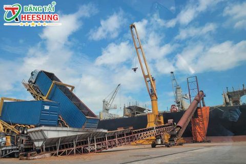 Mua băng tải Đà Nẵng ở T&T – Lựa chọn Sáng Suốt khi đầu tư