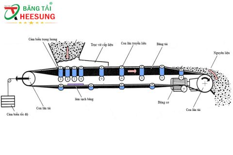 CẤU TẠO BĂNG TẢI: BÍ MẬT sau sự HIỆU QUẢ trong công nghiệp