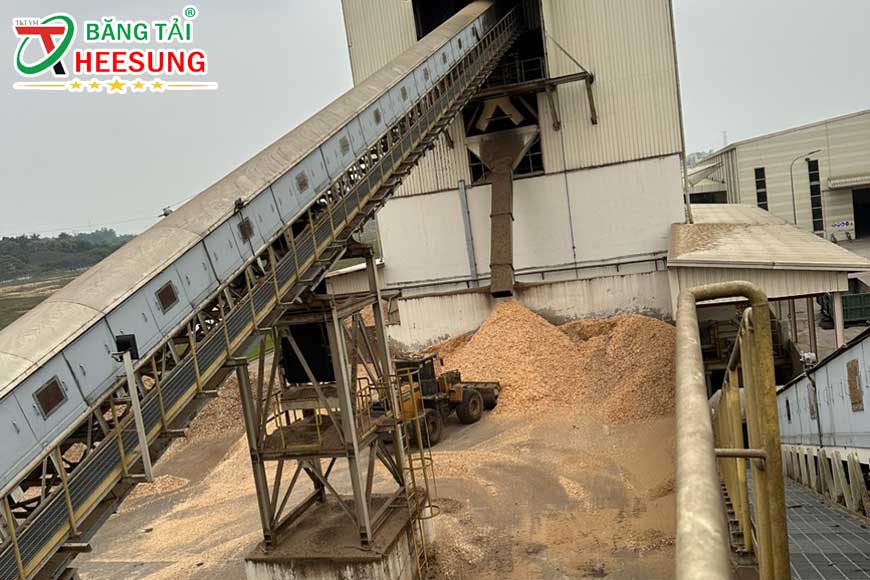 hệ thống băng tải có mái che