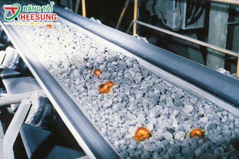 [Tìm hiểu] các loại băng tải CHỊU NHIỆT và CÁCH chọn sản phẩm