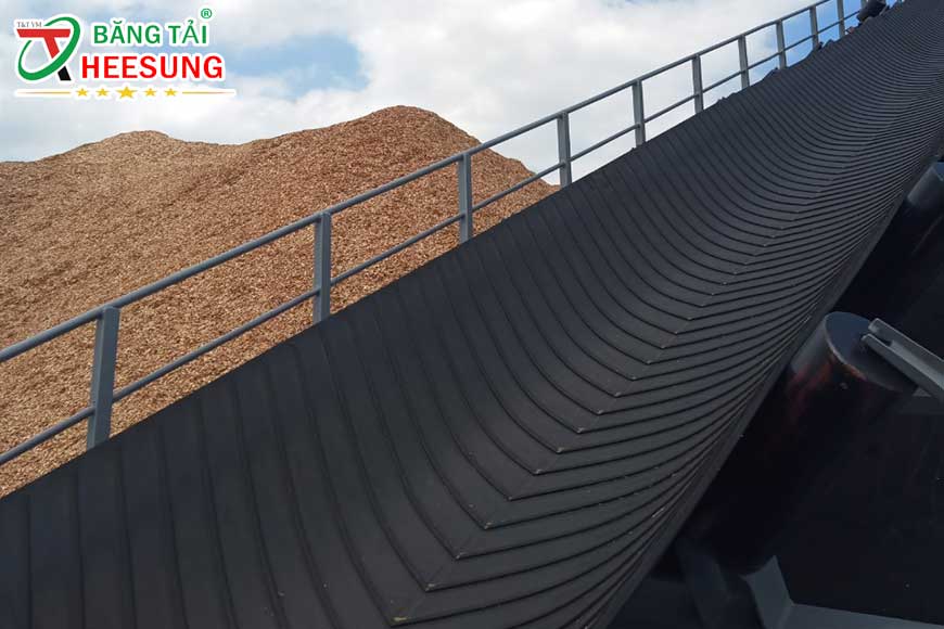 chọn băng tải Heesung