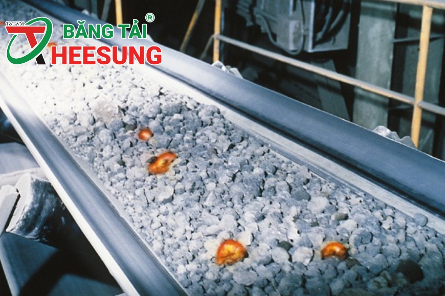 băng tải chịu nhiệt Heesung