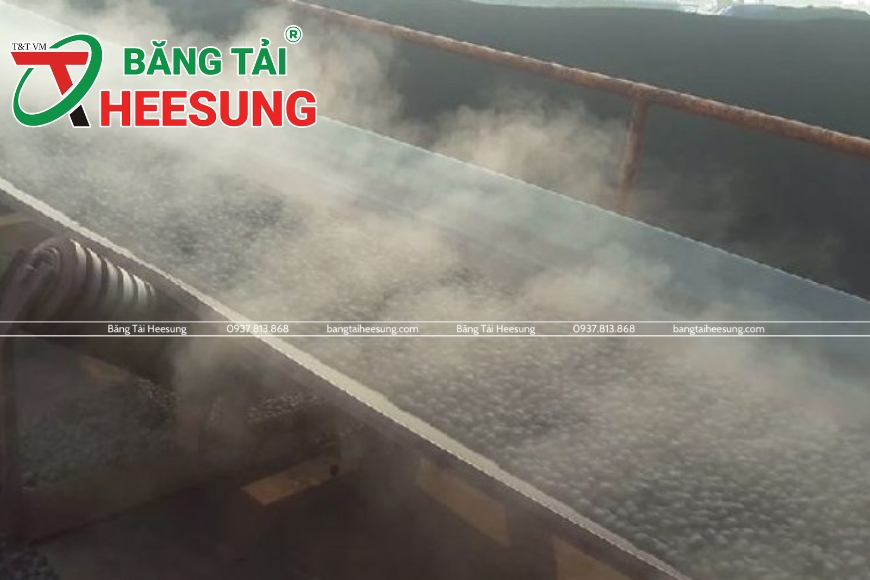 băng tải bố vải Heesung