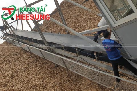 Băng tải cao su B650 – Vận chuyển vật liệu Tối Ưu, Thông dụng