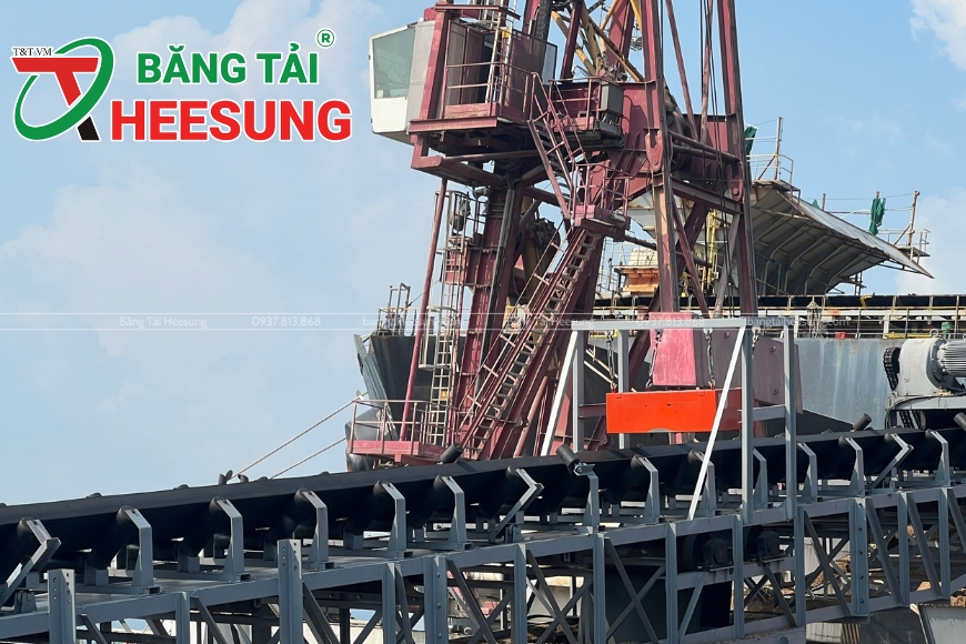 hiệu quả của băng tải xanh