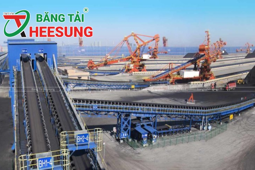 ứng dụng của băng tải xanh