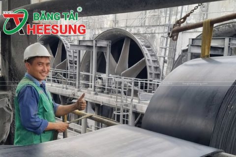 Băng tải Hưng Yên: Nhu cầu sử dụng, Gợi ý địa chỉ mua UY TÍN