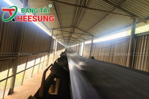 Băng tải EP200 – Lựa chọn TỐI ƯU cho vận chuyển HIỆU QUẢ