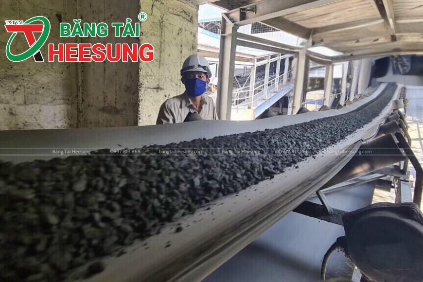 dự án băng tải xanh