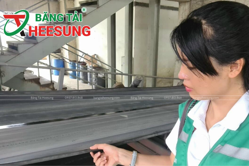 lợi ích của băng tải xanh Heesung