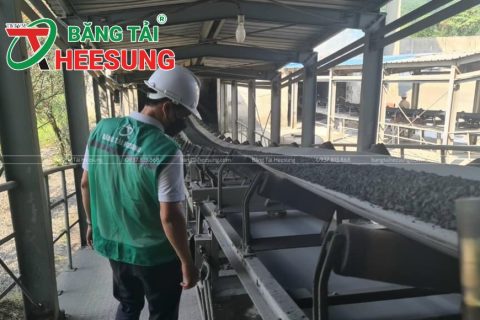 Mua Băng tải cao su ở T&T: Chất lượng đi đầu, Tuổi thọ bền lâu!