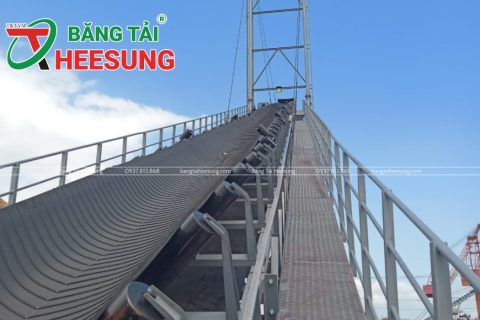 [Chi tiết] Thông số Băng tải cao su gân V và Địa chỉ mua Uy Tín