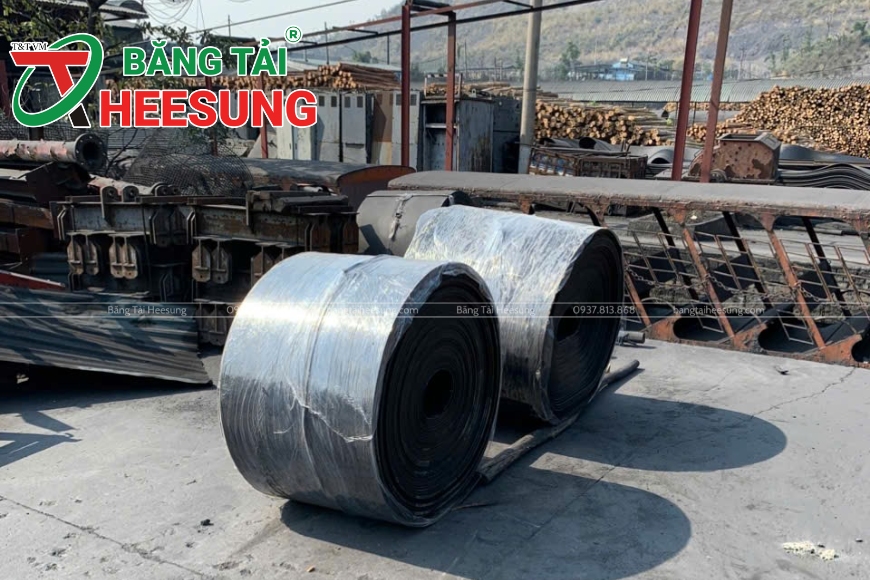 băng tải B1000 Heesung