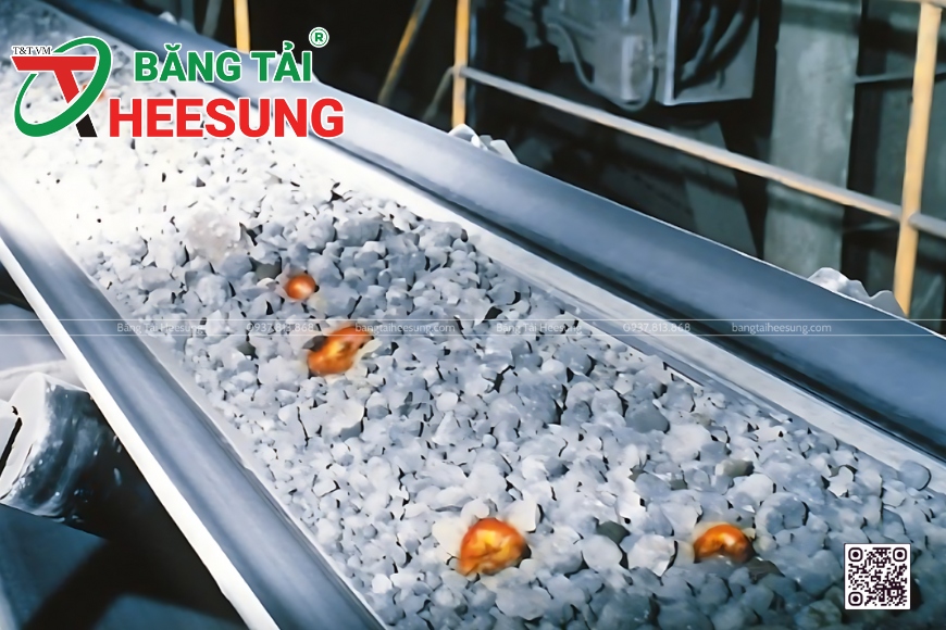băng tải chịu nhiệt Heesung
