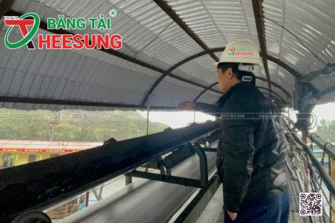 Giải đáp từ Băng tải Heesung: KHI NÀO nên THAY Băng Tải?