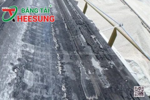 6+ Nguyên nhân băng tải cao su bị hỏng và Giải pháp bảo vệ