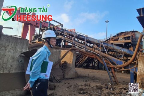 Băng tải ở Bình Dương: Chọn Băng tải Heesung cho chất lượng VƯỢT TRỘI