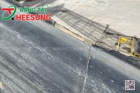 Băng tải kém chất lượng: Dấu hiệu nhận biết và cách phòng tránh hiệu quả