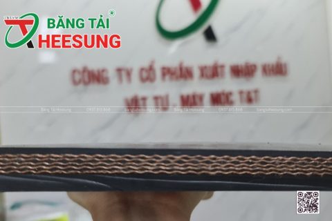 Các loại bố của băng tải cao su – Đặc điểm và cách lựa chọn phù hợp