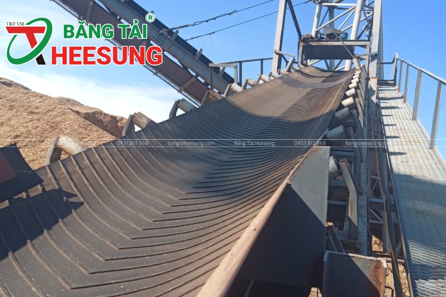 băng tải Heesung gân V