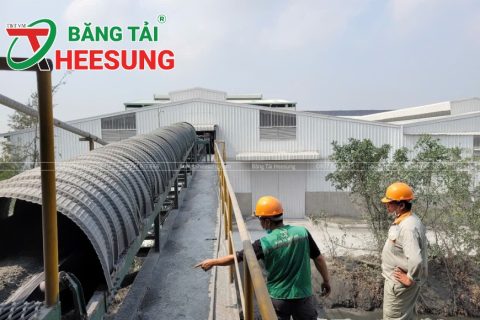 Băng Tải Dùng Để Làm Gì? Ứng Dụng Thực Tế Trong Mọi Ngành Công Nghiệp
