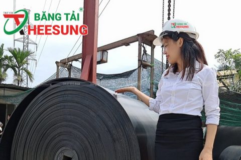 Mua băng tải Heesung ở đâu để đảm bảo chính hãng, giá tốt và dịch vụ chuyên nghiệp?