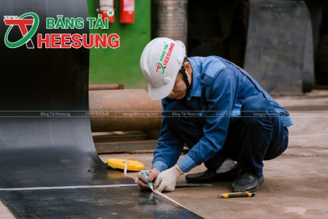Băng tải cao su B800: Thông số, ứng dụng, hướng dẫn lựa chọn!