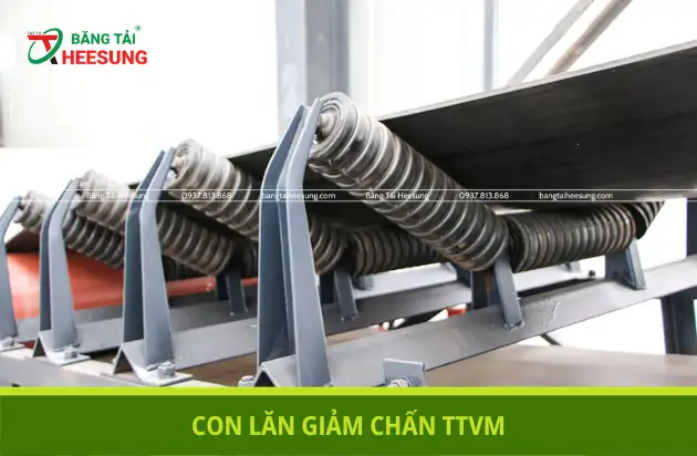 CON LĂN GIẢM CHẤN TTVM