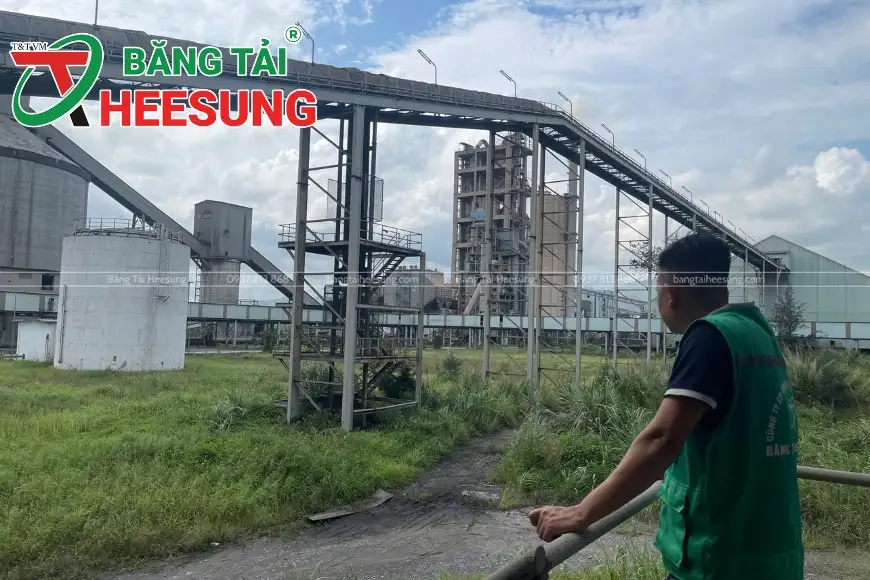 băng tải cao su loại nào tốt nhất
