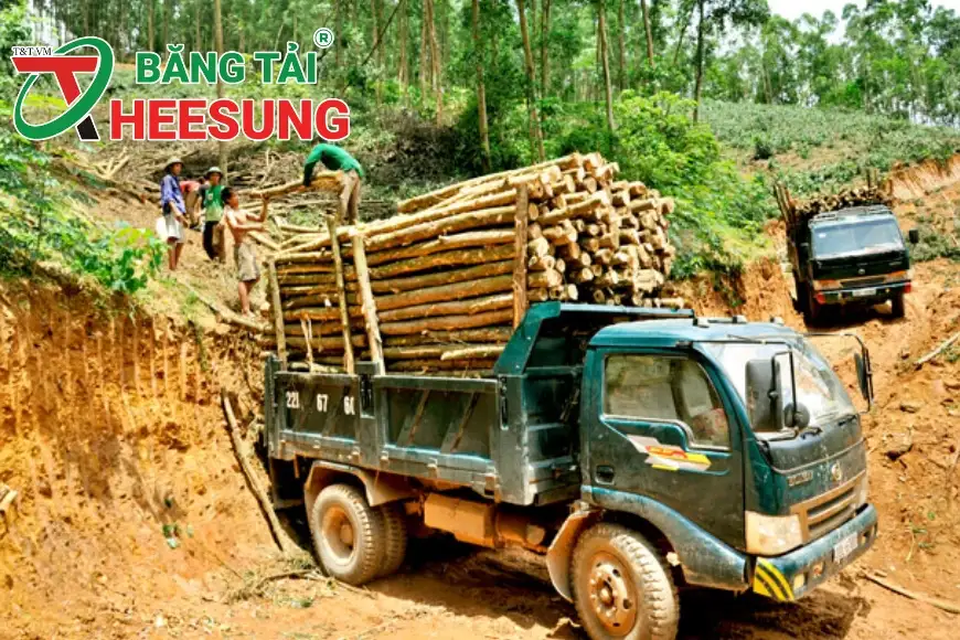 ngành chế biến gỗ