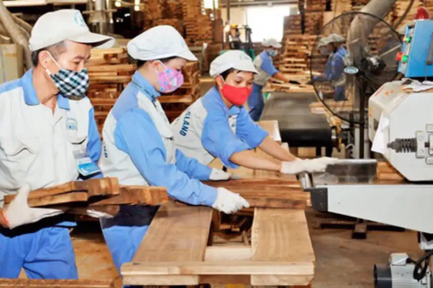 nhu cầu sử dụng thiết bị trong sản xuất gỗ