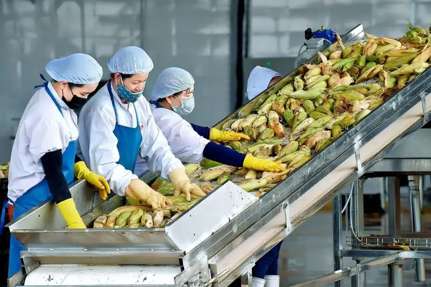 thị trường xuất khẩu nông sản