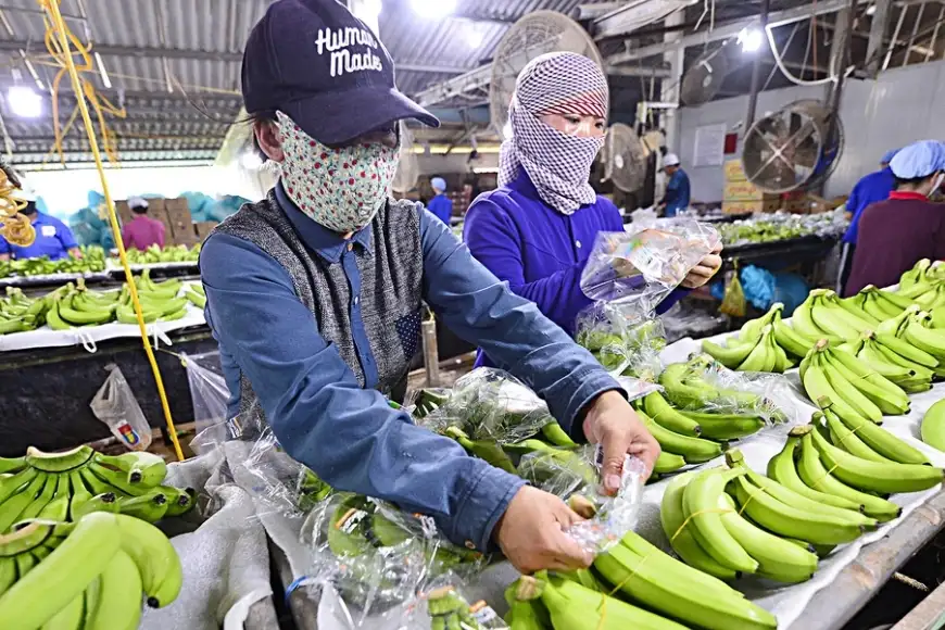 xuất khẩu nông sản