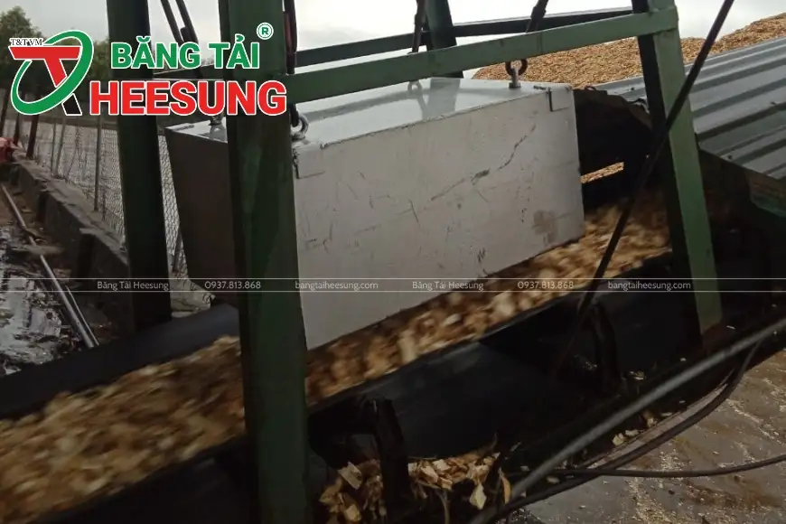 băng tải Heesung ngành lâm nghiệp