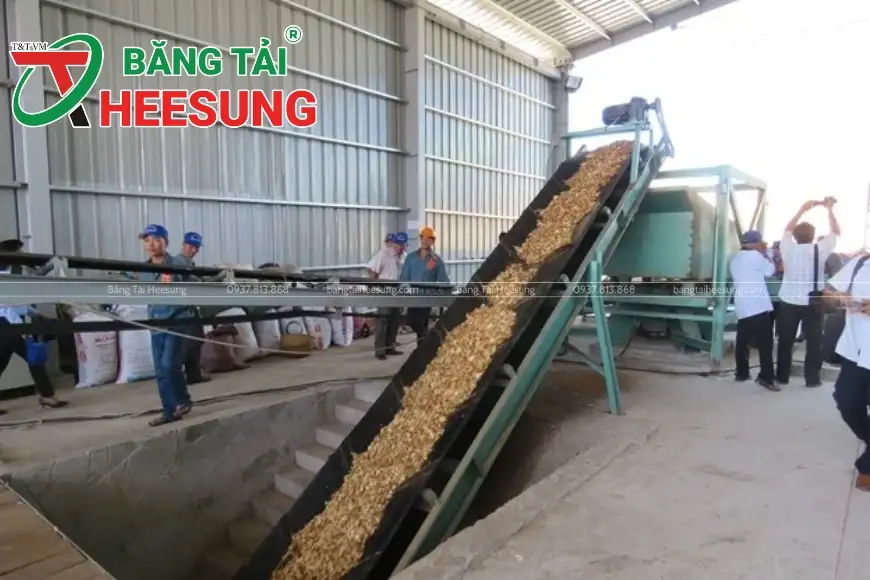 băng tải chở dăm gỗ