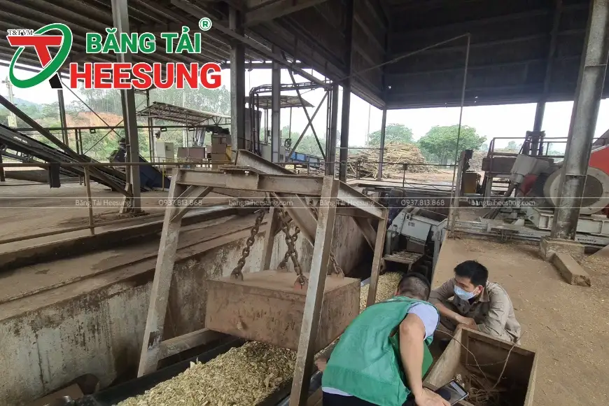 băng tải vận chuyển nông sản
