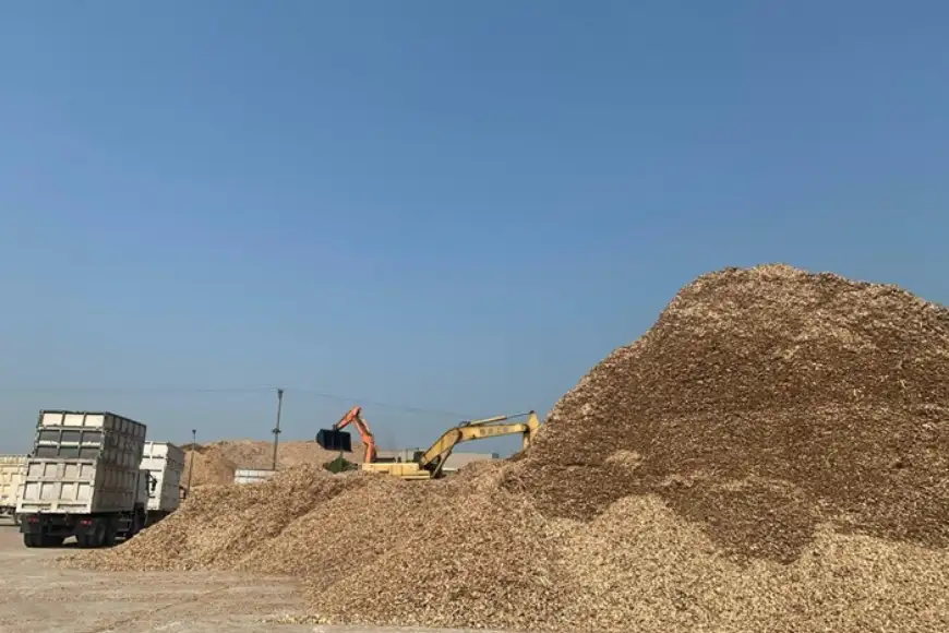 giá trị của viên nén xuất khẩu