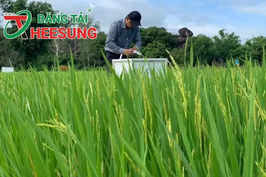 giảm phát thải CO2