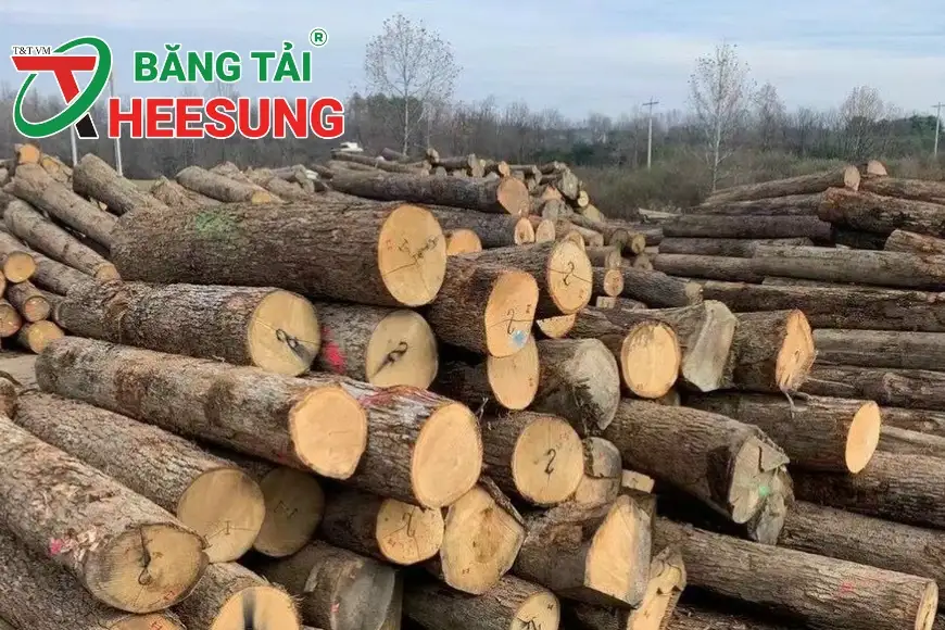 ngành lâm sản