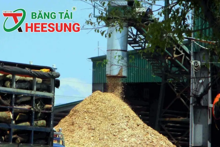 nhà máy chế biến dăm gỗ