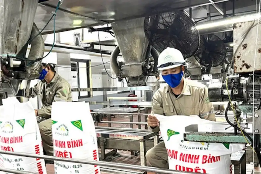 phân bón nội địa