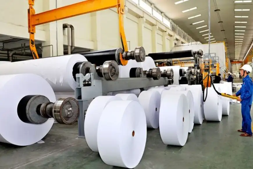 tiềm năng công nghiệp tái chế giấy