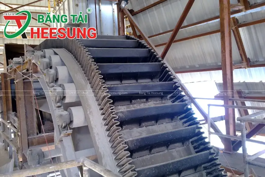 băng tải bèo ở Hà Nội