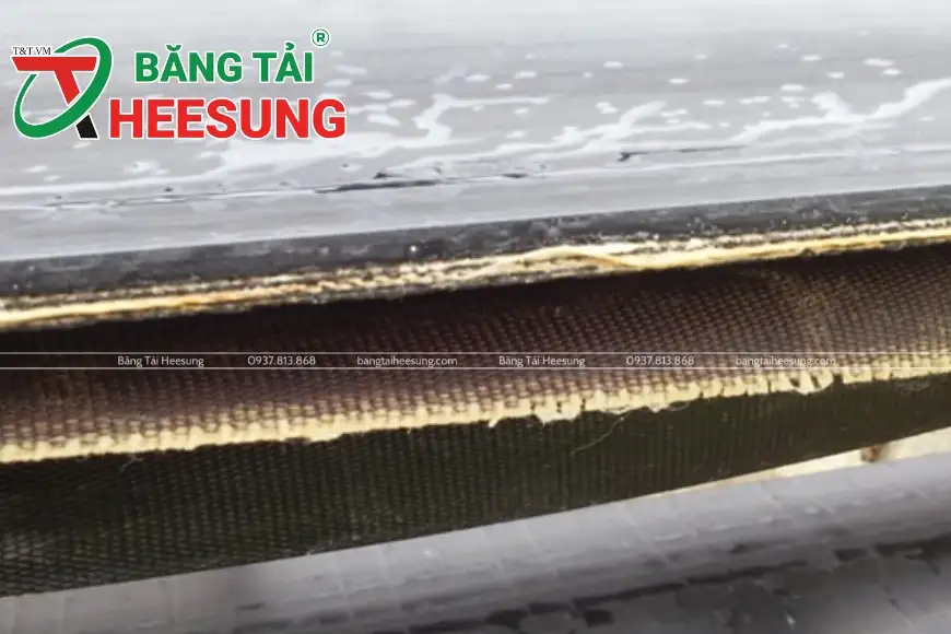 băng tải bị tách lớp