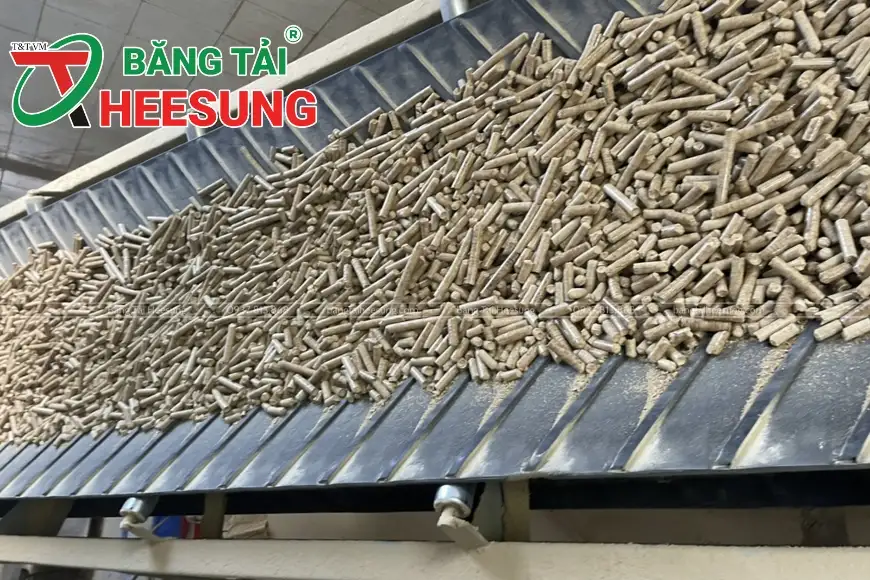 băng tải gân V ở Hà Nội